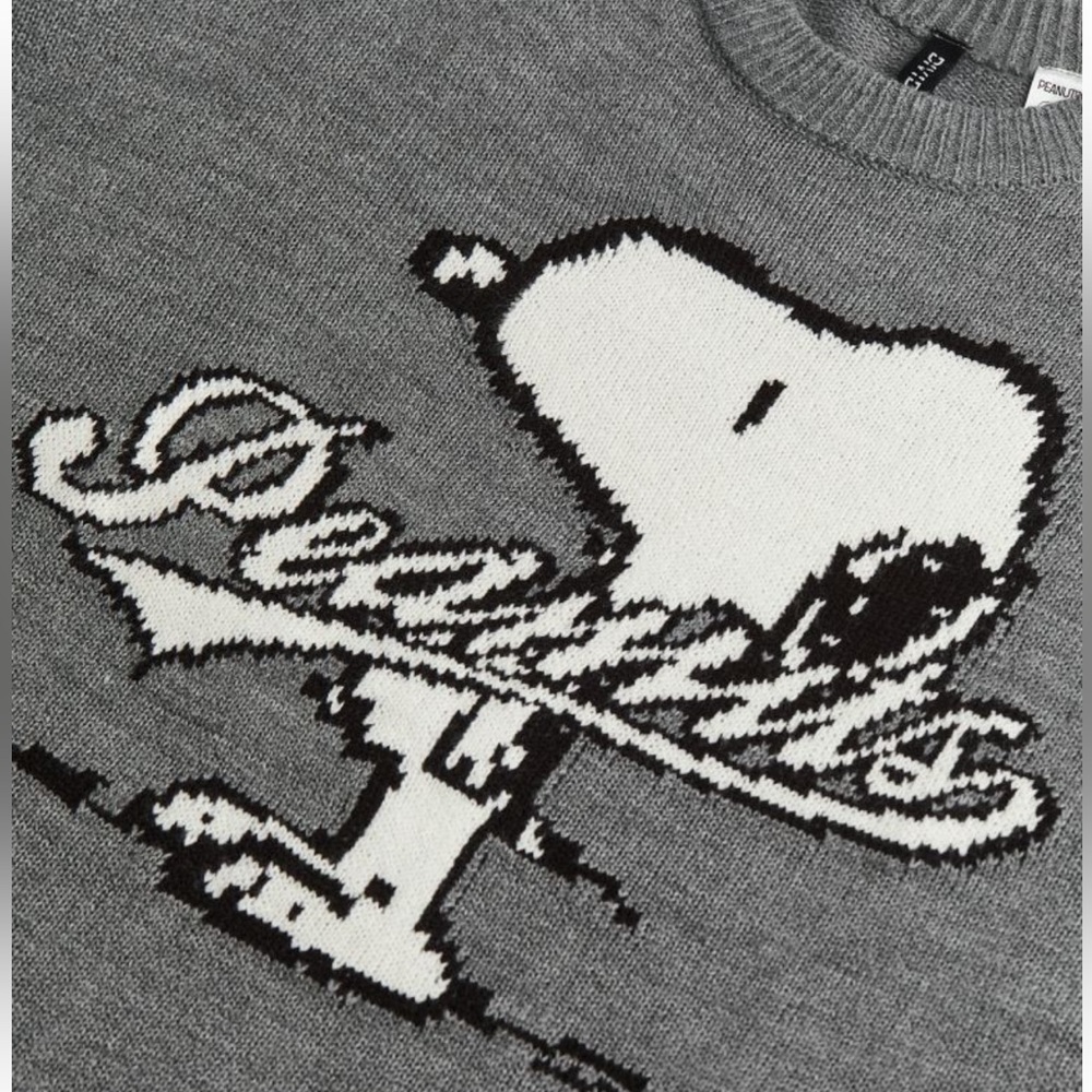 H&M Gray Snoopy Peanuts Knit Sweater - Picture 2 of 13